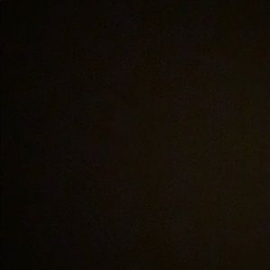 Meet your Posher, Blake